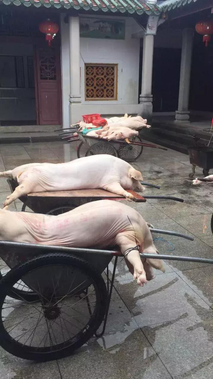 广东吴川吴氏祭祖视频,吴川上郭吴氏祖墓