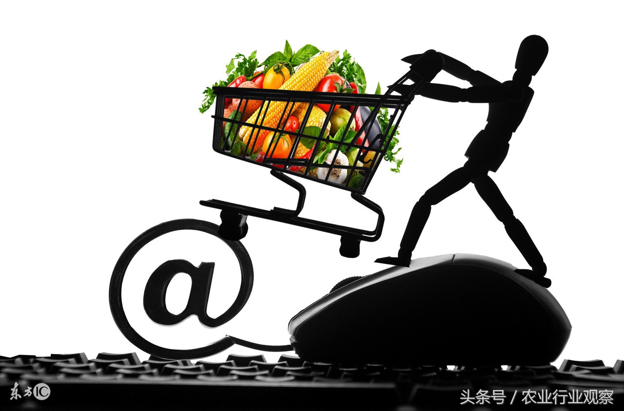 未来5年农村电商行业趋势,农村电商的当下与未来内容简介