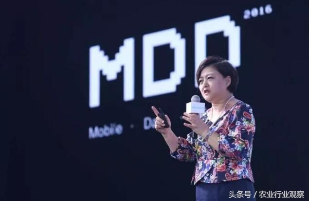 未来5年农村电商行业趋势,农村电商的当下与未来内容简介