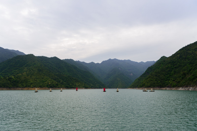 中国十大侨乡排名青田,侨乡青田之最