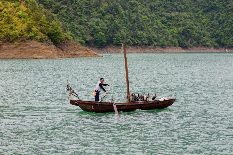 中国十大侨乡排名青田,侨乡青田之最