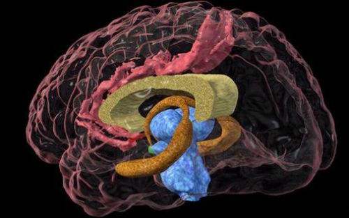 为什么每次做梦都是最可怕的时候,科学解释人为什么会做梦