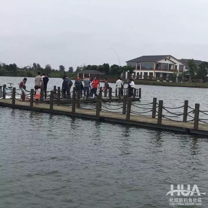 5.4米龙纹鲤三代,龙纹鲤3代钓草鱼行吗