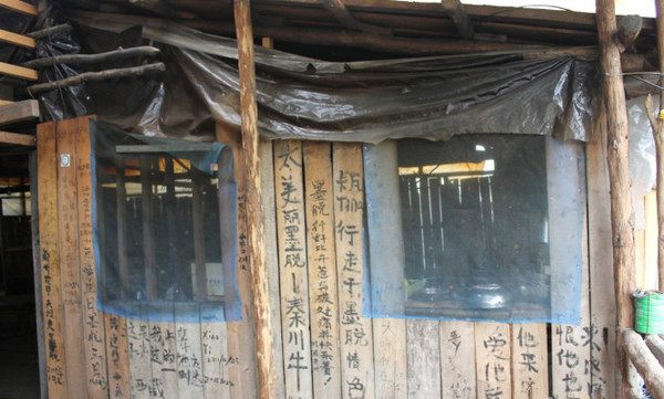 藏西线,最可怕的藏毒视频