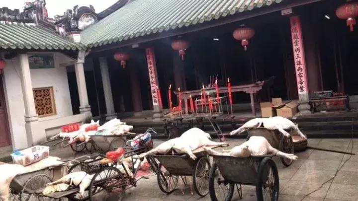 广东吴川吴氏祭祖视频,吴川上郭吴氏祖墓