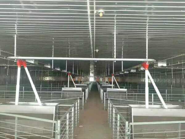 你以为你在外漂泊过得很好，其实你不知道老家的人有多少财产