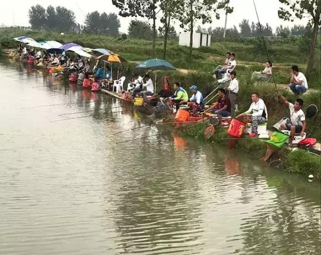 2017钓鱼比赛河南,行营河钓比赛