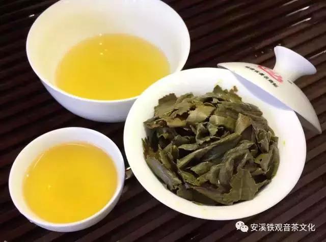去安溪要注意什么,去安溪怎样体验茶文化