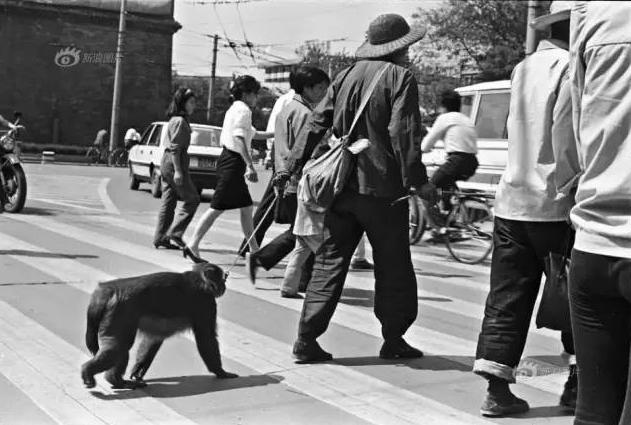 行为背后的心理分析,心理学回忆过去