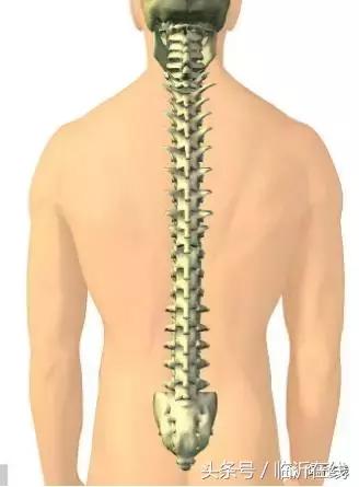 临沂市人民医院吉立新,临医故事