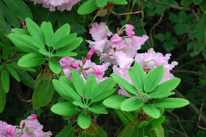 职场高手遇事处理的九种方法,怎么应对职场贪小便宜爱翻脸的人