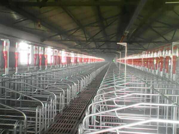 你以为你在外漂泊过得很好，其实你不知道老家的人有多少财产