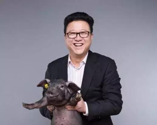 丁磊说中国养猪技术,丁磊说养猪的最高境界