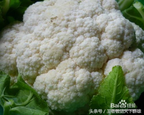 妇科病家常食谱大全,妇科炎症食疗食谱大全