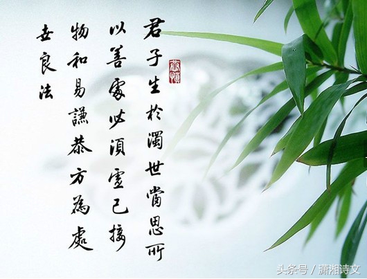 小雨天的竹林七绝,竹林溪水的七绝诗