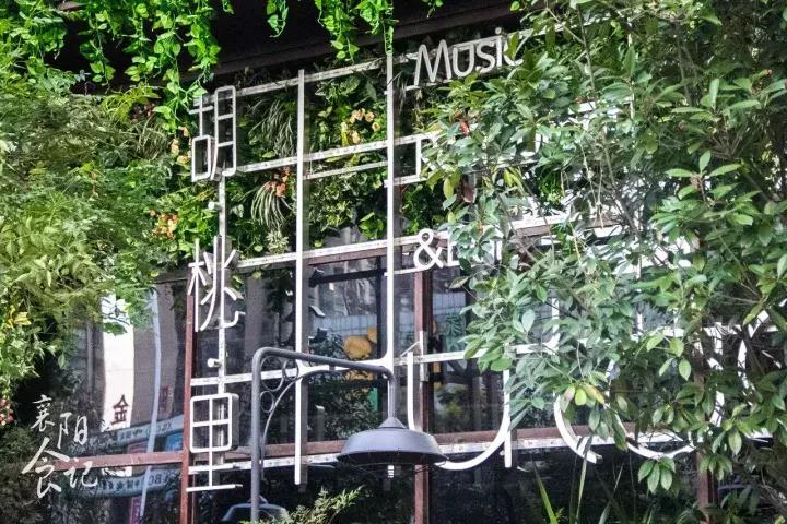 胡桃里过生日襄阳,襄阳胡桃里音乐酒馆