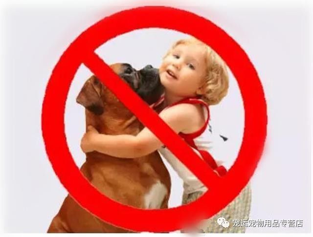 被狗追怎么自救演示,被狗追怎么自救神回复