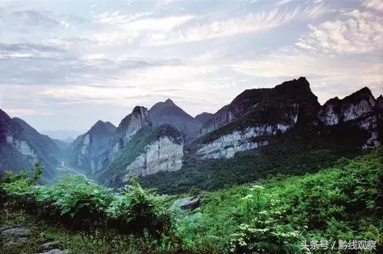 织金什么地方最美,织金十三妹图片