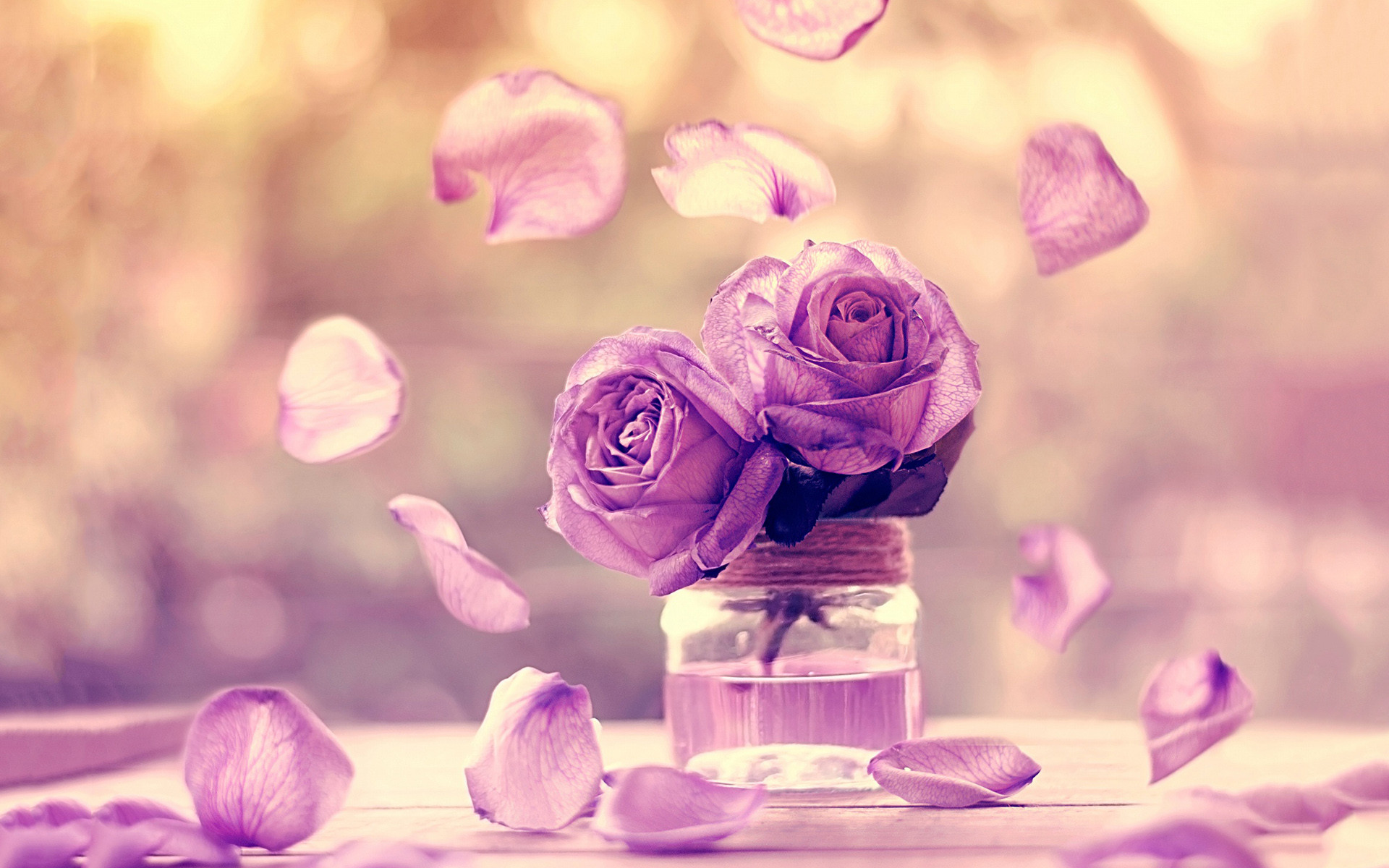 月嫂带来的婆媳矛盾,为什么月嫂和婆婆会产生矛盾