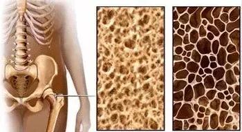 同仁堂中成药馆秘藏下篇,同仁堂中成药陈列分类