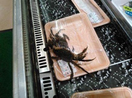 螃蟹有哪个步骤不能吃,螃蟹的有哪一些部分不能吃