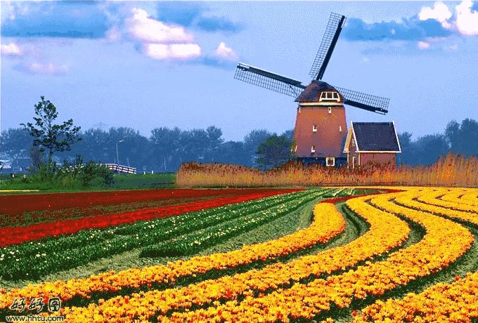 热气球南海桂城,佛山足球主题农庄