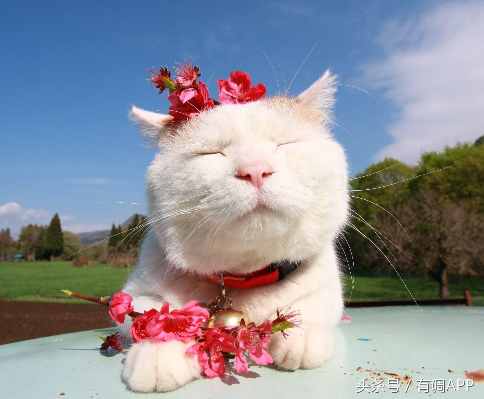 东南亚好物推荐生活用品,日韩旅游必买10件物品