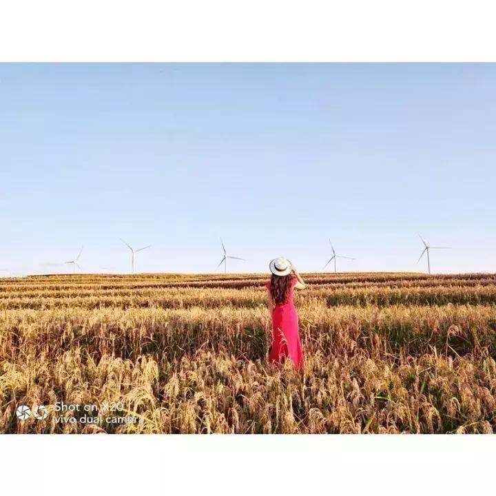 给照片加个框,给照片加边框的手机app