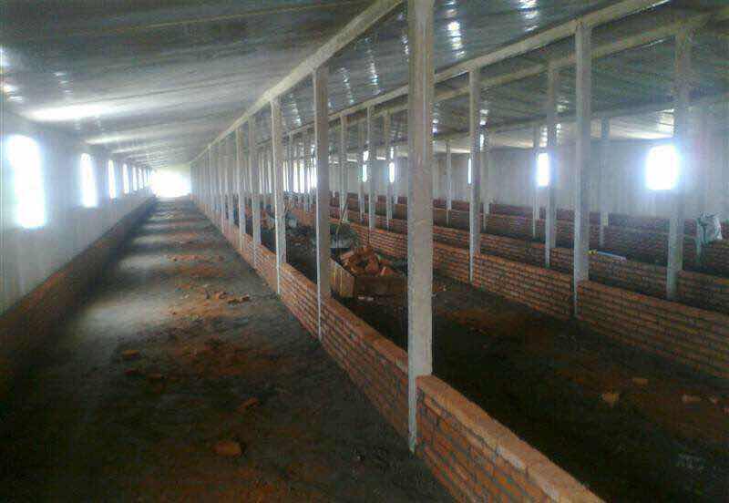 你以为你在外漂泊过得很好，其实你不知道老家的人有多少财产