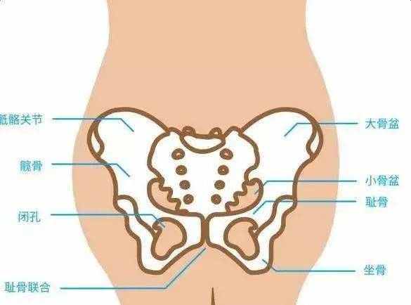 孕期耻骨疼要注意什么事项,准妈妈说说自己刚怀孕的症状