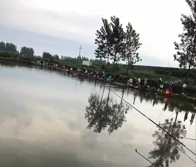 2017钓鱼比赛河南,行营河钓比赛