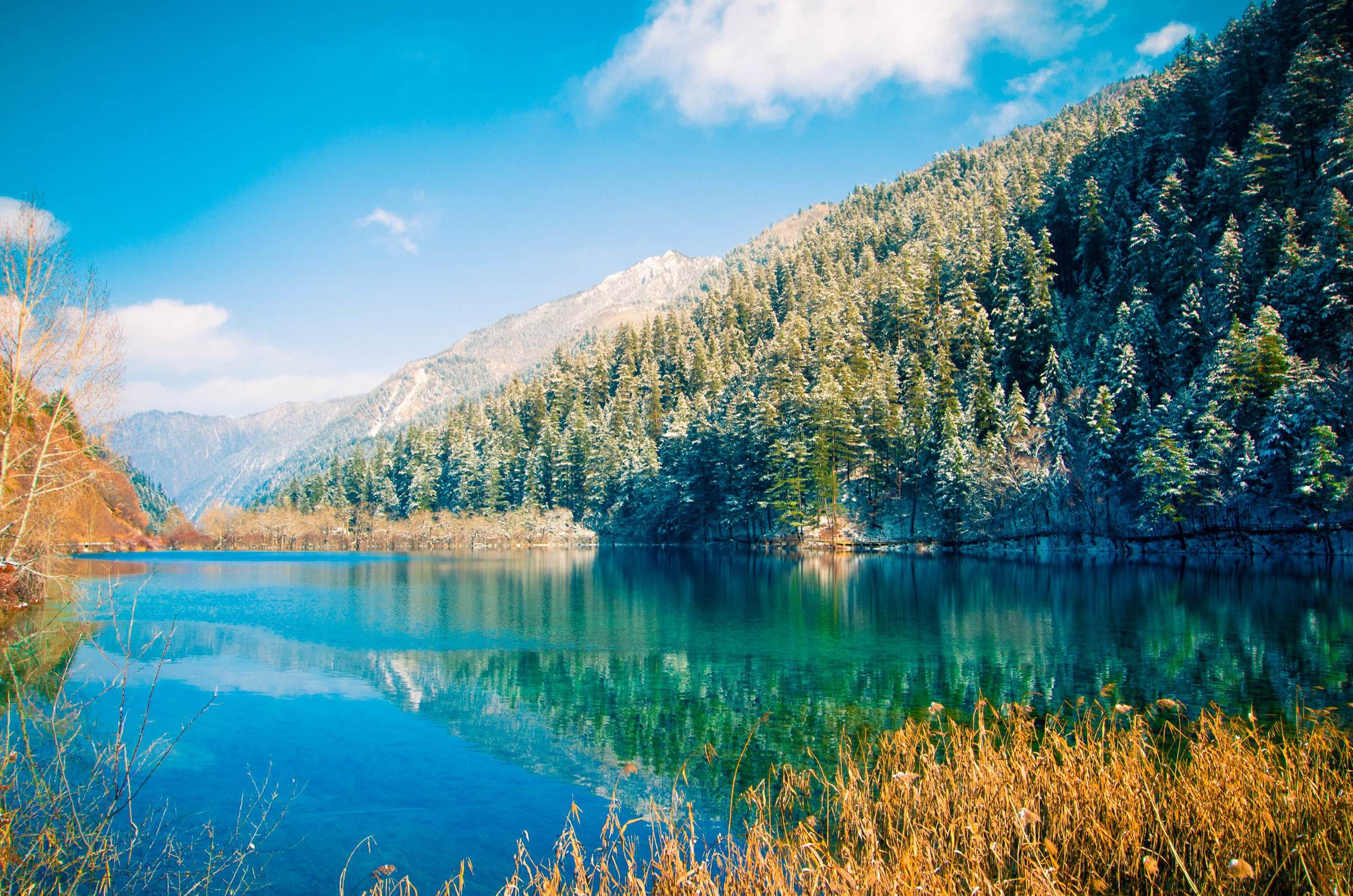 甘肃陇南文县风景介绍,陇南市全部风景区