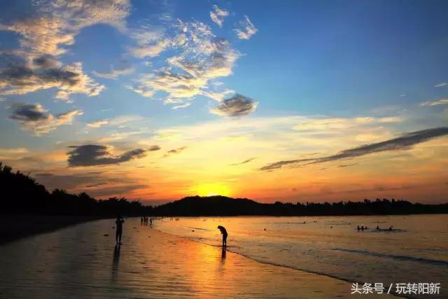 2017阳新最全通讯录!人手一份,一定用得上!赶紧收藏!