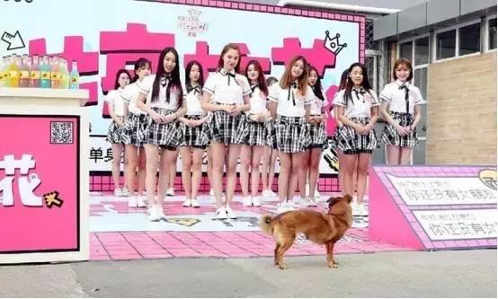 单身狗被榨干，没人在乎死活