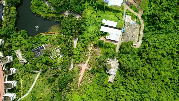 带孩子自由行三亚旅游攻略,带着宝宝重游西安