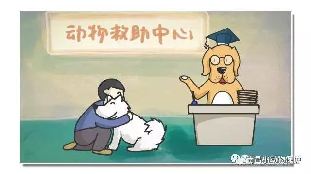 世界狂犬病日漫画,世界狂犬病漫画