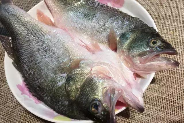 大师傅教你做正宗的西湖醋鱼，芡汁清淡，肉质鲜嫩，学会超有面子