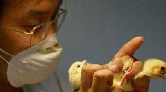 tt体验官?酒店试睡员?盘点7大奇葩轻松高薪又无人知晓的工作