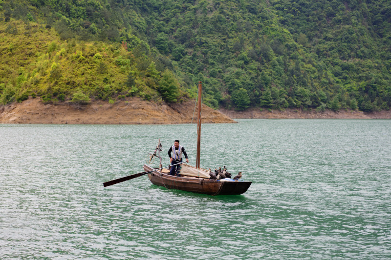 中国十大侨乡排名青田,侨乡青田之最
