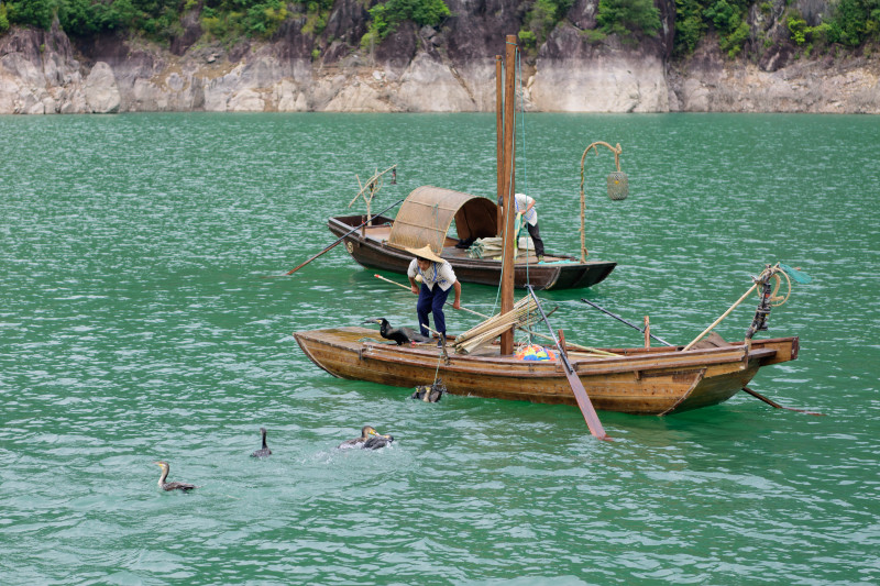 中国十大侨乡排名青田,侨乡青田之最