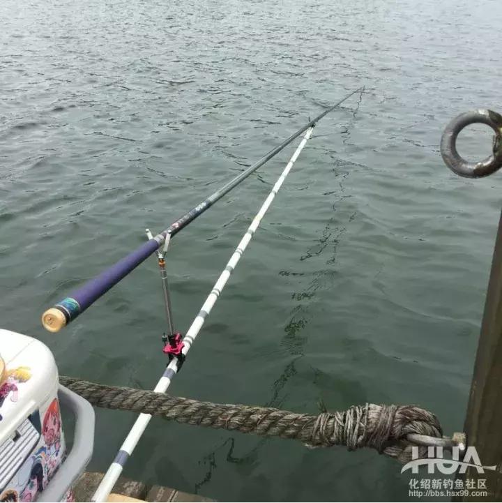 5.4米龙纹鲤三代,龙纹鲤3代钓草鱼行吗