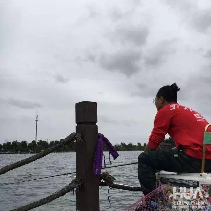 5.4米龙纹鲤三代,龙纹鲤3代钓草鱼行吗