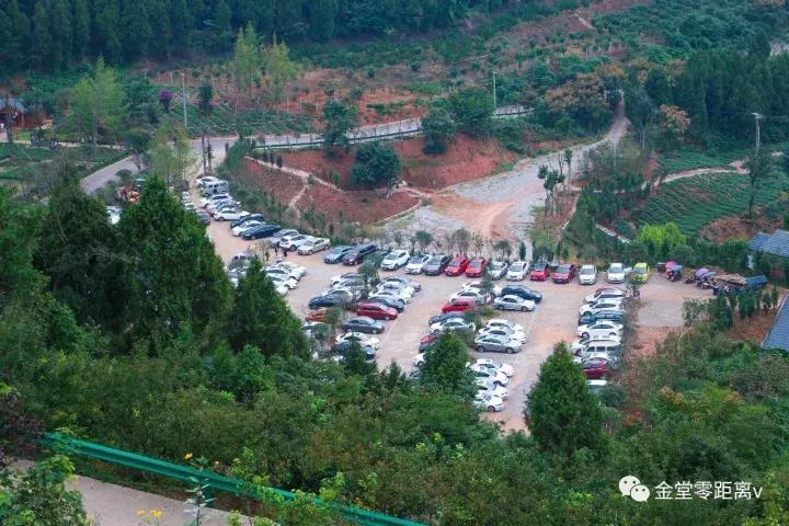 不想上班就去看看大城市,不想上班想去看山和海