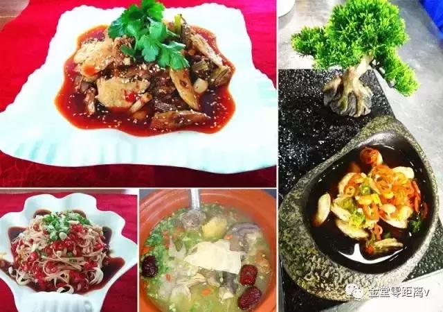 不想上班就去看看大城市,不想上班想去看山和海