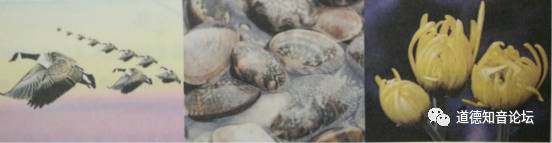 寒露的习俗禁忌与典故,寒露的由来和习俗合集