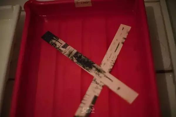 搏一搏，洗手间也能变暗房