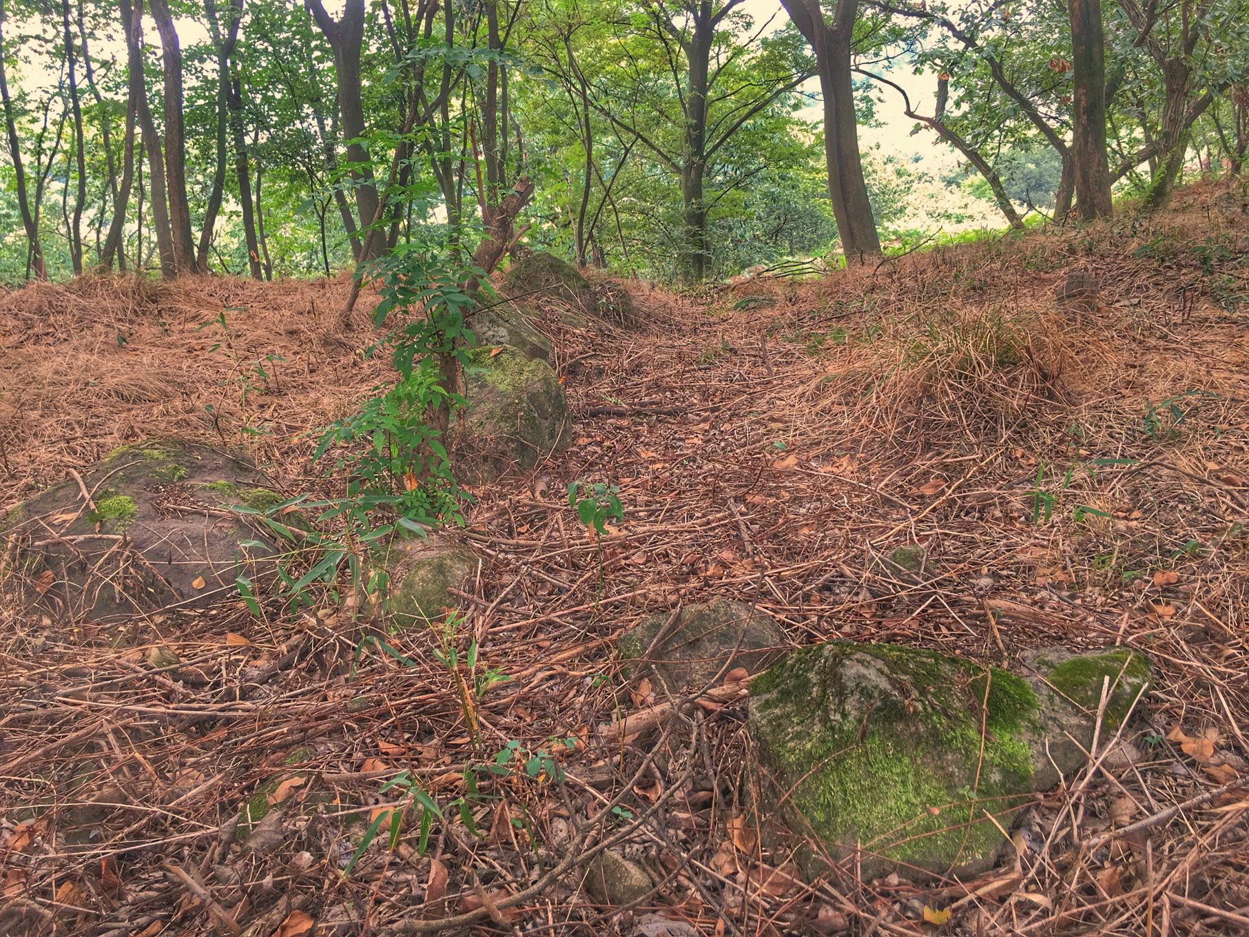 亲爱的客栈第1期开什么民宿,亲爱的客栈中卫民宿