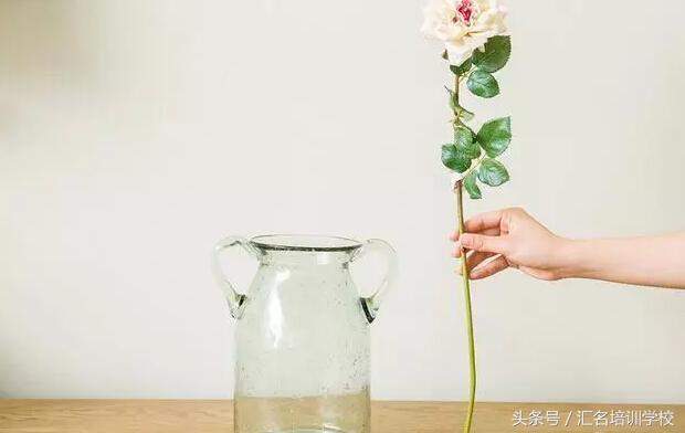 如何插花有艺术感教程详细,插花艺术的步骤技巧和方法