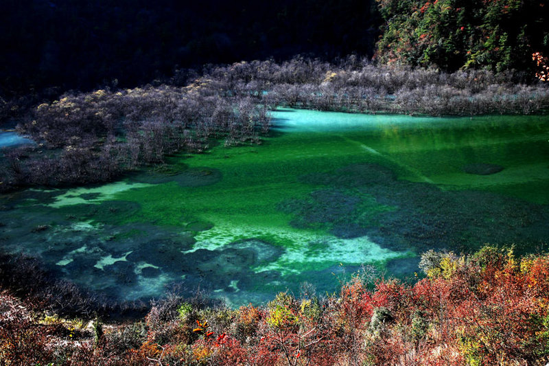 甘肃陇南文县风景介绍,陇南市全部风景区