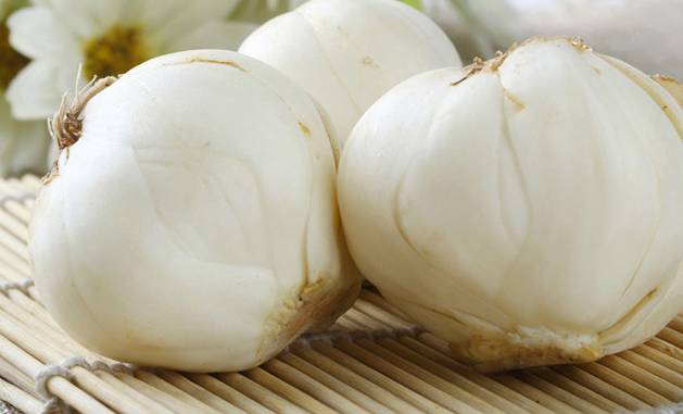 养肺润肺的最佳食谱,百合养肺排毒食疗方法